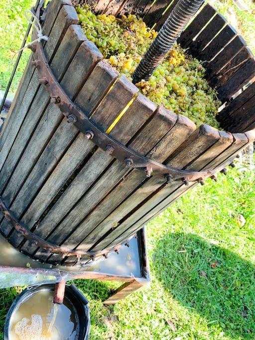 La-Marti, Idyllische Unterkunft Mit Kamin Bagdati Ngoại thất bức ảnh